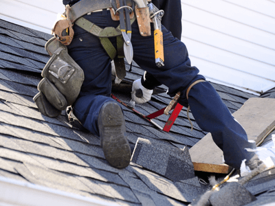 Why choose Roofing Companies Palm Harbor FL for roofing contractor in Palm Harbor